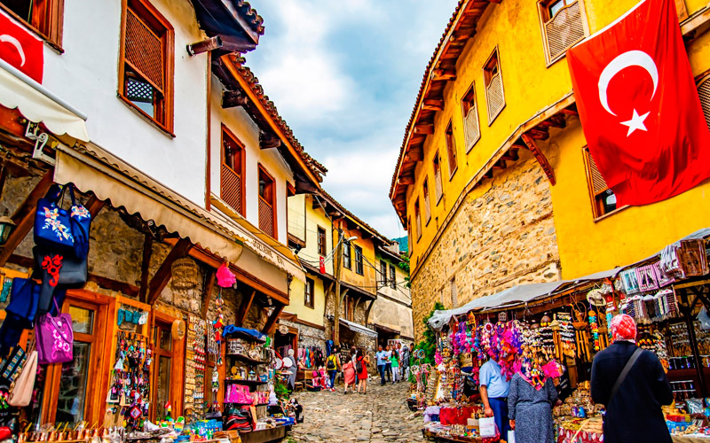 vip airport transfer bursa tours